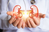 Ankündigung: MEDICE Health Family auf dem 9th Nephro Update Europe, Leiden & Virtual, 12.-13.09.2025