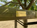 MEDICE Health Family sets an example for regional environmental protection