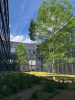 MEDICE opens its second site in Cologne
